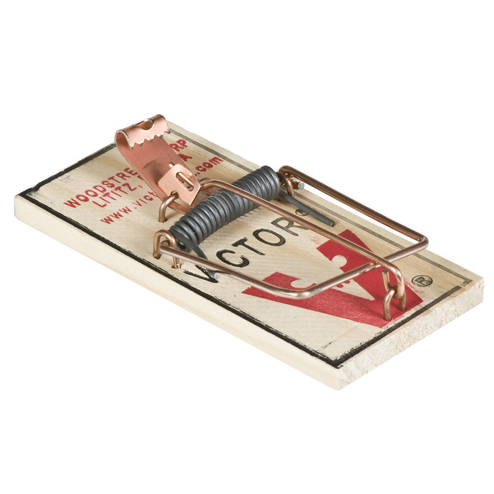 Victor Snap Trap for Mice, 2 Pack - Pack of 36