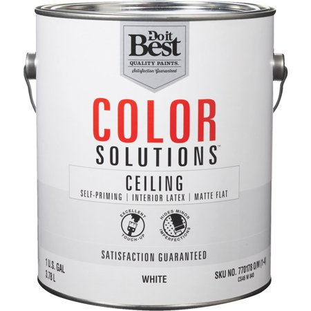 Color Solutions Latex Flat Ceiling Paint Self-Priming