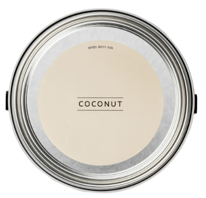 Coconut Interior Flat Paint