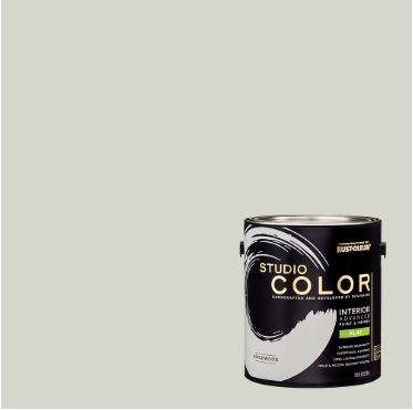 Birchwood Interior Flat Paint