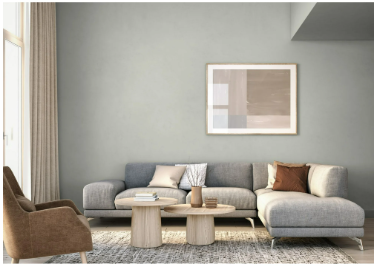 Birchwood Interior Flat Paint