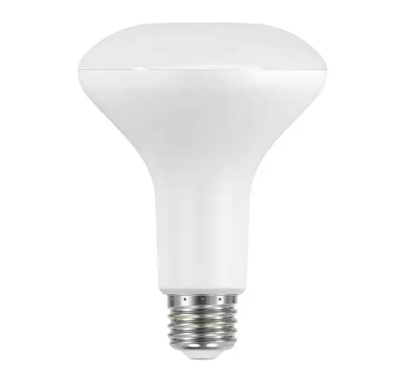 65-Watt Equivalent BR30 Dimmable Flood  LED Light Bulb Soft White (6-Pack)