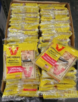 Victor Snap Trap for Mice, 2 Pack - Pack of 36